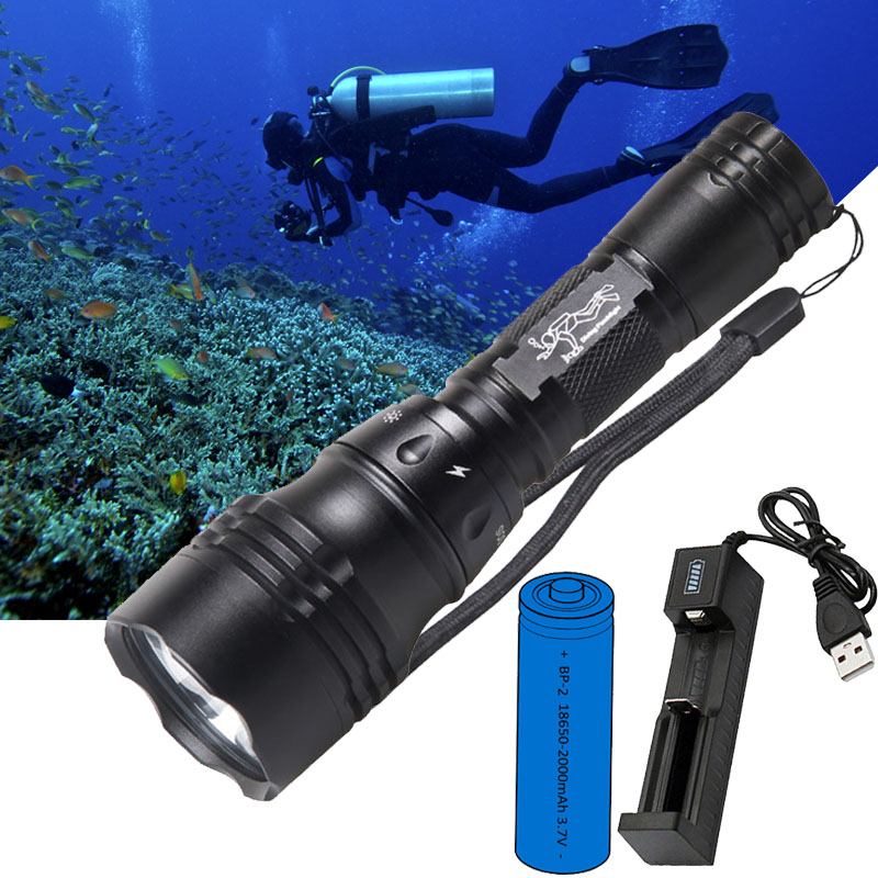 Fish Finder Charger - مصباح غوص محمول 10 واط T6